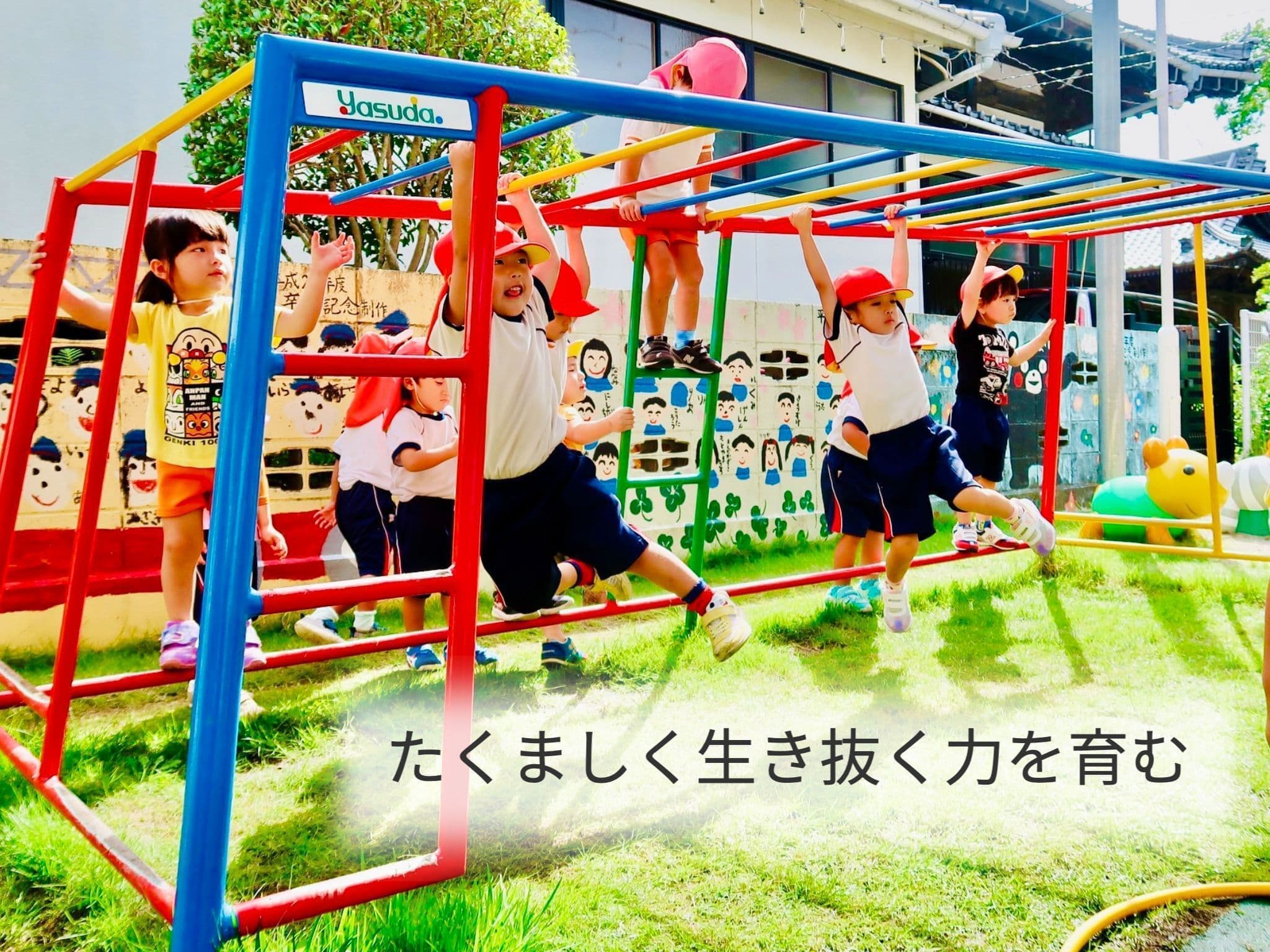 3f8d1950-85f8-4156-bb32-7a4294f82761_1_201_a.jpg